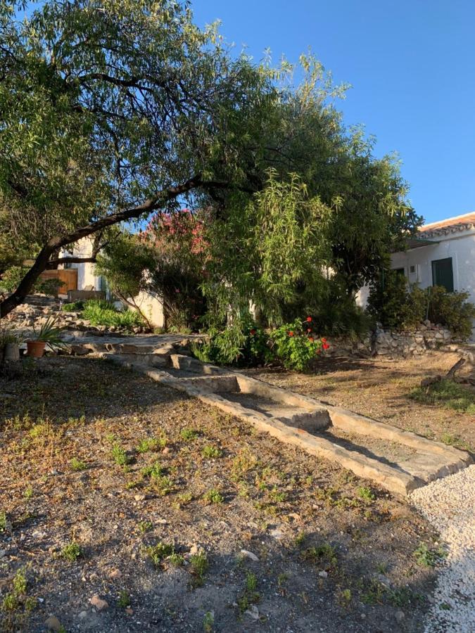 Гостевой дом Casa Anita - La Almona Chica Эль-Чорро Экстерьер фото